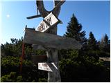 Kraljev hrib - Kapela Marije Snežne (Velika planina)